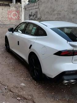 شانجان يوني في